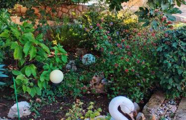 Dream In Green - Foto 59