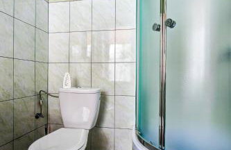 Dom na Starym Gościńcu Tiszyna - Foto 46