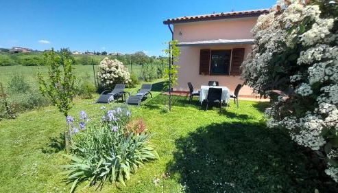 Montepulciano - La Casetta del Pian delle Noci - Foto 5, Garden, sunbed, Garden view