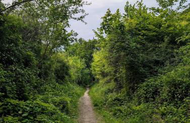 Maison des Artistes Paris Giverny - Foto 25