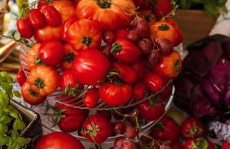 W Lesie Zaklęty - Foto 41