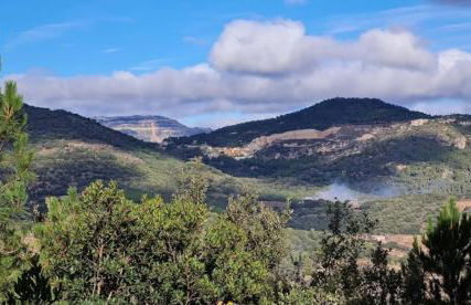 Ca la Sita - Foto 41