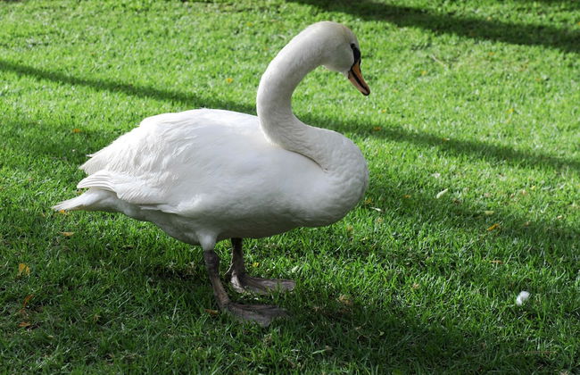 De Werf Lodge - Photo 27