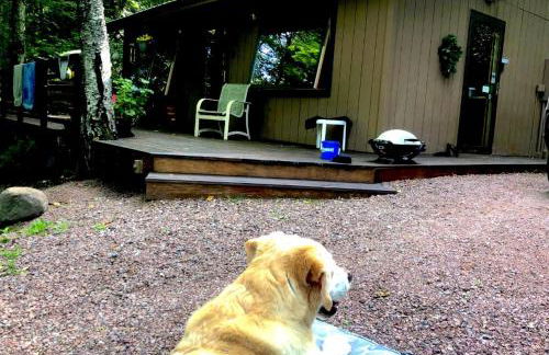 Secluded Waterfront Cabin Rental on Lake Superior near Red Cliff, Wisconsin - Foto 6