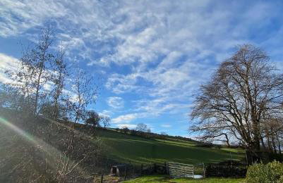 The Annexe - Photo 11