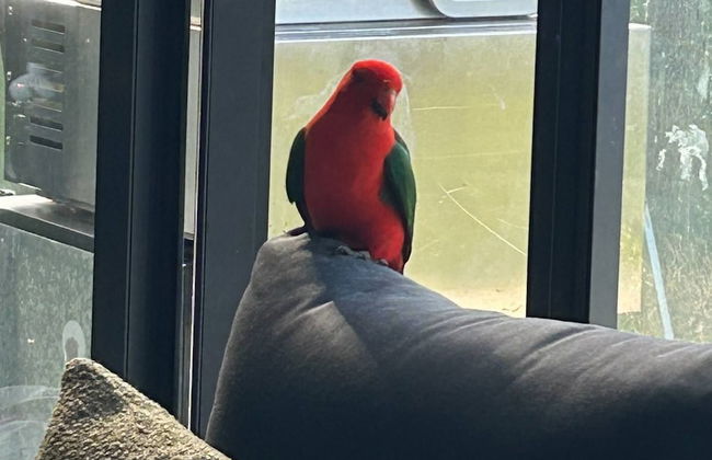 Belvedere Summer House - Foto 33