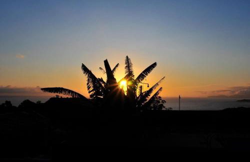 Vila Emigrante - Photo 10