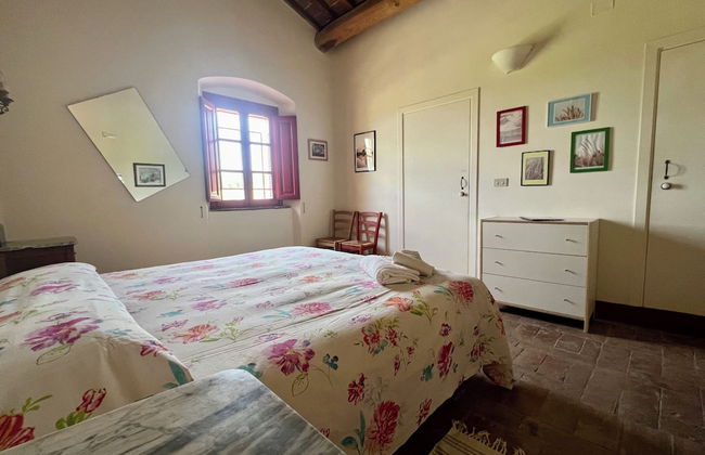 Fattoria Podere i Luoghi - Foto 20