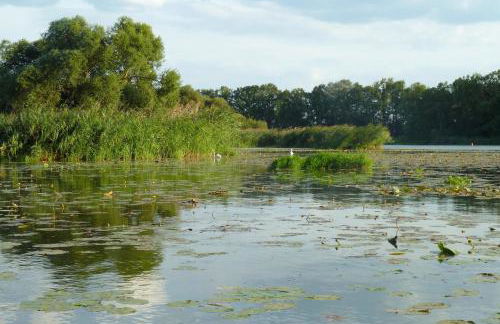 Ferienwohnung Havelnixe - Foto 24