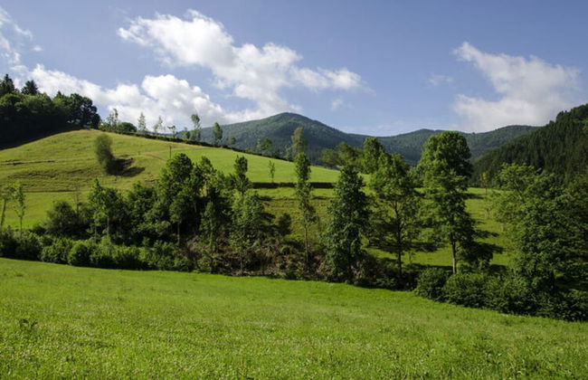 Holiday Apartment Hohe Stein - Foto 14