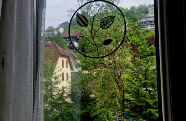 Holiday Apartment near Triberg Waterfall - Foto 11