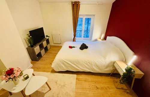 Studio rubis - Proche centre-ville - Saint-Etienne - Foto 1