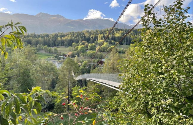 Holiday Home in Fieschertal Valais With Garden - Foto 25