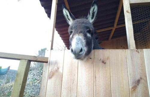 LA TAGORA Conect with the nature & relax - Foto 44