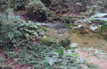 La Casinha da Sorte - Photo 28