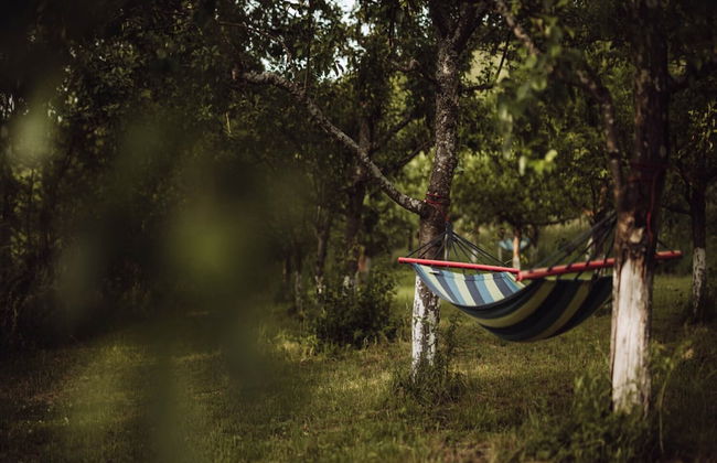 Apartment in Gronowo Near Lake Siecino - Photo 15