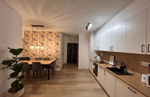 BoleslaviaApartments - Apartament Merci 2, parking free, air conditioning - Foto 7