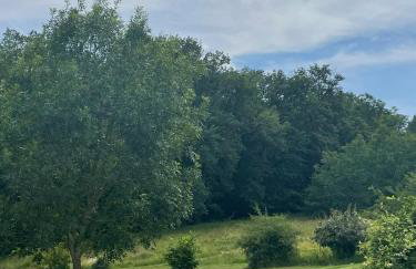 Logement entier de charme, gite équestre GERS Flamarens - Foto 34