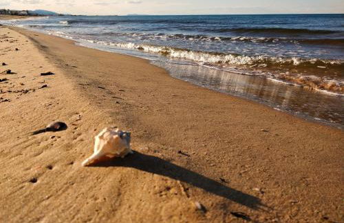 Hello Piles Beach Sofia - Foto 49