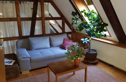 Lieblingsplatz - Foto 11