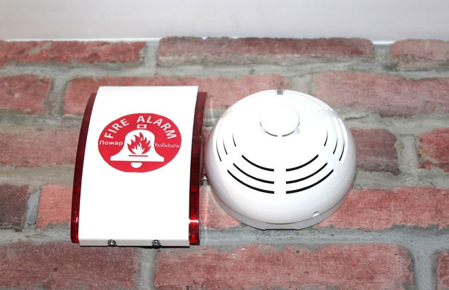 Botanical 21 Apartments - Photo 17