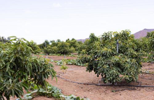 Home2Book Fantasy Villa & Nature, Private Pool - Foto 9