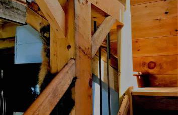 The Birches Cabin, at home in the woods! - Foto 7