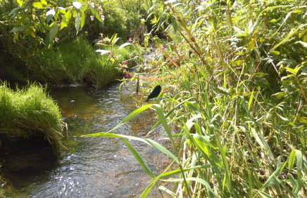 Allgäu Ferienhof Schönberger - Photo 46