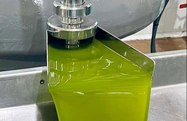 Visita a la almazara San Vicente - Photo 8