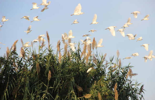 Tagus River Cruise Tour - Photo 6