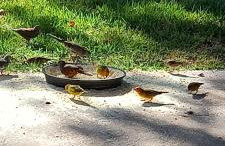 Nosso Cantinho Delfinópolis Serra da Canastra - Photo 25