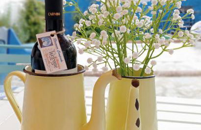 Bluemoon Campinho (Alqueva) - Foto 27