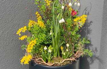 2 Zimmer Ferienunterkunft Gemeinsame Zeit - Foto 40