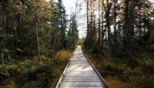 Gemütliches Apartment am Kurhaus in Dobel - Foto 2