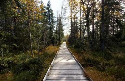 Gemütliches Apartment am Kurhaus in Dobel - Foto 2