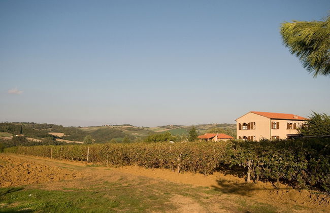 Casa Girasole Agriturismo Le Selvole Tuscany - Foto 34