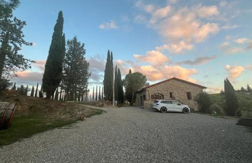 LA COLLINA DEI SAPORI Montepulciano - Photo 21