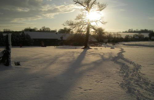 La Ferme des Épis - Foto 97