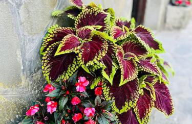 Nonnas little house on the river - Foto 18