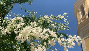 Villa Giada - Foto 5