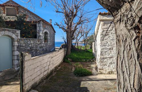 kipaki-trachila Mani - Foto 40