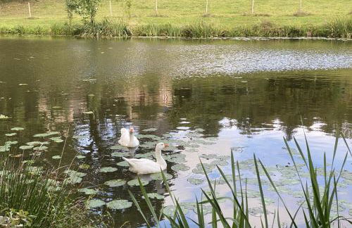 Roulotte enchantée dans le parc d'un château vendéen - Photo 24