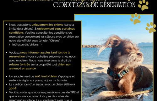 Le Chat Vert - Appartements Adults Only - Foto 22