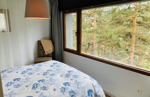 Apartamento con encanto Puerto de Navacerrada - Foto 6