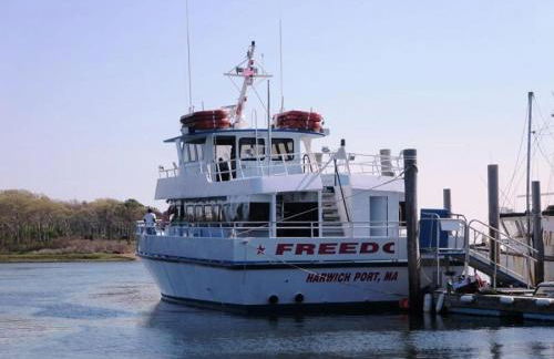 23 Ginger Plum Lane Harwich Port Cape Cod - Ginger Plum Cottage - Foto 33