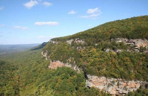 Covenant Cottage with outdoor dining - Foto 37