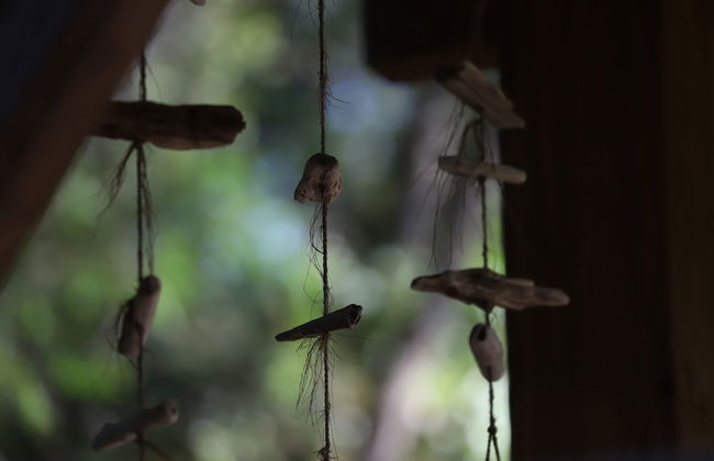 Orion Tree houses - Foto 26