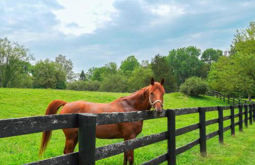 Hudson Valley Horse Farm Retreat in Salt Point - Foto 26