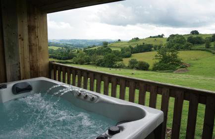Barley Cottage - 5* Cyfie Farm with log burner and private covered hot tub - Foto 2