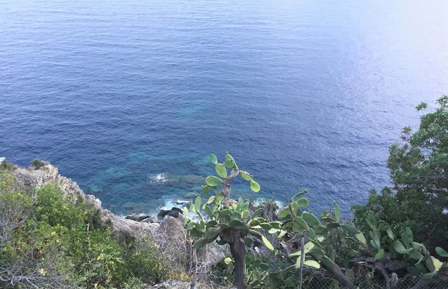 Lecci Di Soviore - Foto 18